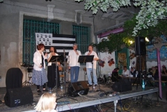 15-bodega