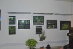 02-Expo-photos_04
