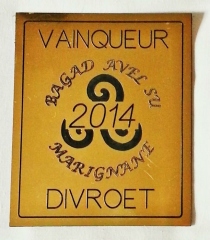 Bagad Avel Su vainqueur !