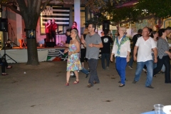 Anacrouse