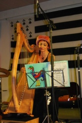 Concert irlandais par Fir Bolg