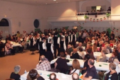 Spectacle des Plijadur An Dañs