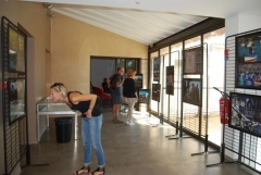 Expo photos